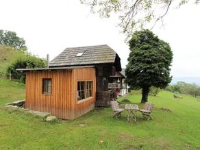 Cozy Holiday Home in Leibenfels with Barbecue - Image 5