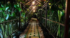 KOTTACKAL NATURE INN - Image 4