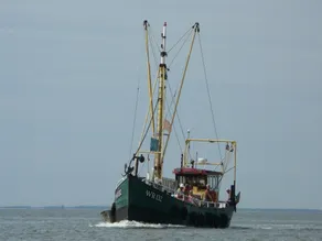 Chalet au bord de la Mer des Wadden avec Jardin - Image 3