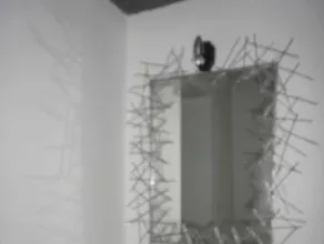 Riad7 - Image 4