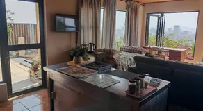 House Olive - Image 3