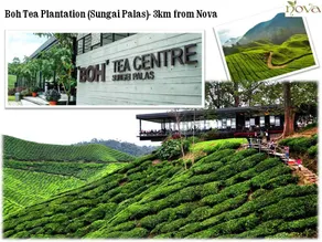 Cameron Nova Highlands Resorts & Residence - Image 5