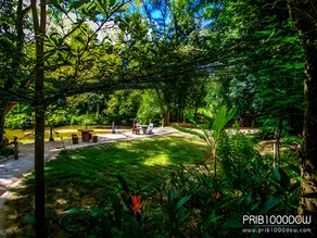 Prib1000dow Home And Camping - Image 3