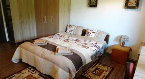 Di-Ana - Image 2