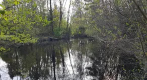 Sommerhaus Barlo - Image 4