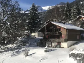 Bussalp Apartment - Aare Jungfrau AG - Image 5