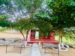 Alphonso farm house - Image 5