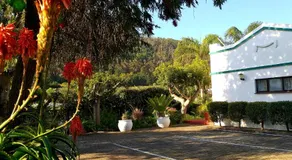 Forestview guesthouse and B&B - Image 3