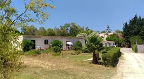 Falfeira Apartments - Image 5