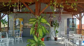 Casa din Deal - Image 5