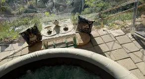 San Martino mountain relax-jacuzzi privata - Image 3