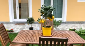 Villa Fontana - Image 5