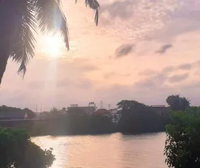 Lotus Vibe Resort - Image 4