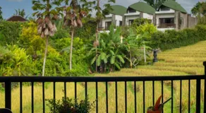 De Moksha Eco Friendly Boutique Resort - Image 5