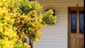Gorgeous Miners Cottage - Image 3