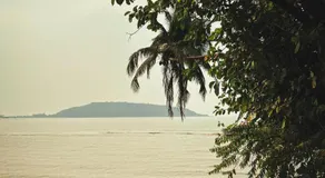The Brisa Nature Stay - Image 5