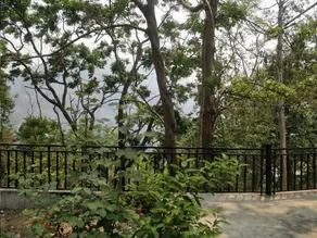 Mehrotra Home Stay - Image 4