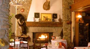 Logis Hotel Restaurant Planes - Image 4