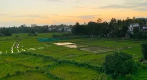 Paddy Field Home - Malabe - Image 4