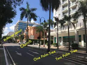 Studio Condo Across Airport (Palmtree Villas) PT1 - Image 3