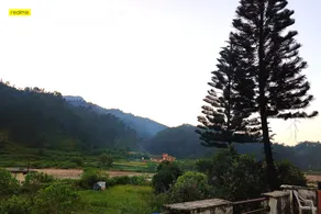 Wild Retreat Yamkeshwar (unit of GMVN) - Image 4