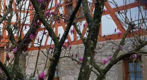 Idyllisches Fachwerkhäusle mit Terrasse am Tor zum Schwarzwald - Image 5