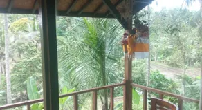 Cabin D Bendul and Warung - Image 4