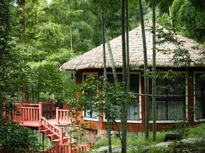 ningbo simingshan Yuxingu - Image 5