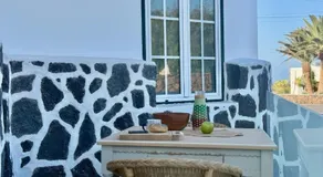 Canaryislandshost I Cactus - Image 3