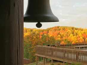 Camp Akita - Image 3