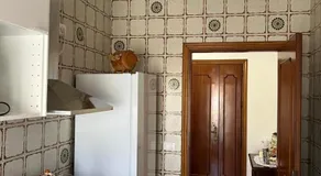 Melina House - Image 5
