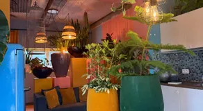 Plantkot, a cozy apartment full of plants of tinykot - Image 5