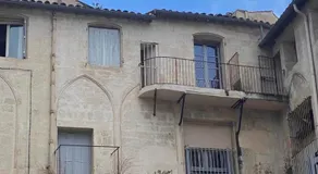 Hirondelle de Montpellier - Image 5