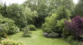 Ferienwohnung Putbus - Image 4
