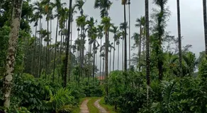 Nature Spot Cottages Coorg - Image 4