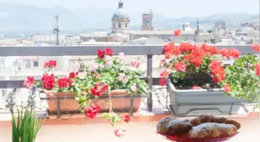 Sui tetti b&b - Image 5
