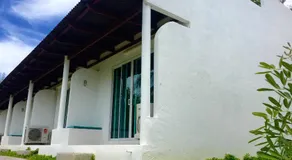 Sense of Yanui - Image 3
