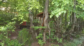 VILA SZOKE SOVATA - Image 5