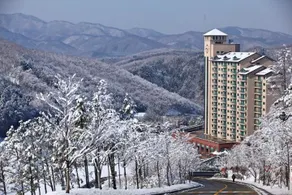 Oak Valley Resort - Image 4