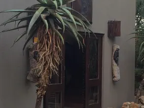 Bushwise Safari Lodge Kruger Park - Image 2
