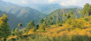 SVS Recreational Hotels & Resorts - Image 3