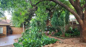 Tree Aloe Guest House - Image 3