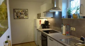 Exclusive cozy apartment in the heart of Franconia - Image 4