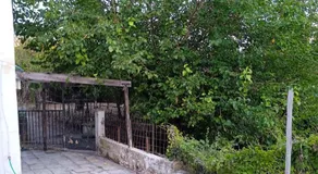 House Conte Ssiori - Image 5