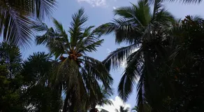 Wild View Stay - Image 5