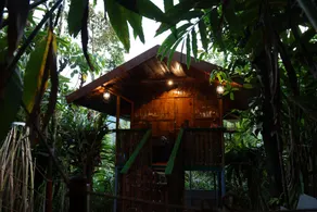 Green Fort Tree House - Image 4