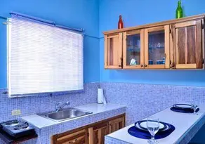 Kingston Sunset Guest Apartment II - Image 4