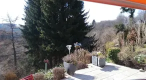 Perlenbachtal - Image 4
