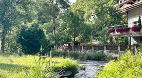 Apartment Huberspitz - Ruhe, Berge & Natur - Image 3