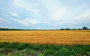 Wheatfield Watch House - Image 3